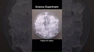cool 😎 science experiments 🤯☠️😨 #shortfeed #respect #experiements #sciencefacts #coolexperiments