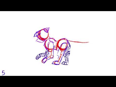 Super rough run cycle || Test