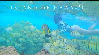 Hawaii Travel Minute Vlog | 夏威夷旅行日志