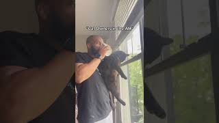 #pethumor #comedy #petlaughs