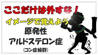 インパクトで覚えようシリーズ！【原発性アルドステロン症】