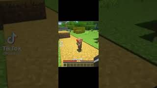 Minecraft Animation #fyp #minecraft #minecraftmoments #realistic #shorts #minecraftshorts #tiktok