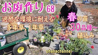 [Gardening 68] Planting spring seedlings, over 30 varieties! Perennials that can withstand harsh ...