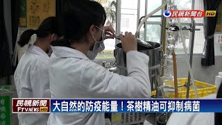 防疫刺激新發明 花工研發茶樹精油乾洗手液－民視新聞