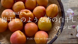 Recette Umeboshi abricot 杏で梅ぼし/梅干しのような杏の白干しのレシピ/ ONIGIRI