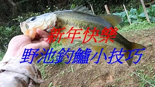 野池釣黑鱸 小技巧