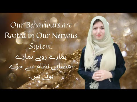What is the Relationship Between our Nervous System and Our Behaviours/ How to Shape of Mind?