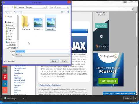 3.- ASP.NET AJAX Control ToolKit - CollapsiblePanel
