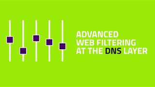 The Malware Prevention Benefits of Webroot DNS Protection