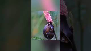 #কোরআন_তিলাওয়াত #Beautiful_Quran #কুরআন
