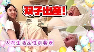 I gave birth to twin babies. [Gender announcement & hospital life]
