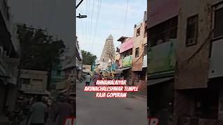 Annamalaiyar Arunachaleshwar Temple #gopuram #tamilnadu #arunachalam #shorts #feedshorts