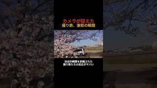 カメラが捉えた「撮り鉄、激怒の瞬間」 決定的瞬間を邪魔された撮り鉄たちの反応がヤバい #迷惑行為 #リアル映像 #撮り鉄 #リアル映像 #怒号 #short #shorts