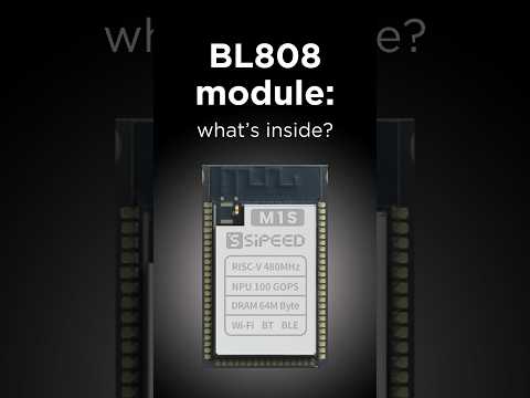 What’s inside this BEAST AIoT [BL808] M1S module? #arduino #robotics #esp32 #aiot #iot