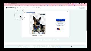 Techie Tips: Remove Backgrounds in Images and Video