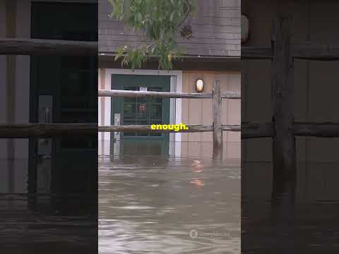 Hurricane Milton's DEVASTATING impact on the ECONOMY and FINANCES 🌀#hurricane #miltonhurricane