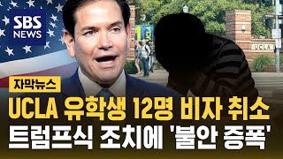 UCLA 유학생 12명 비자 취소…트럼프식 조치에 불안감 증폭 (자막뉴스) / SBS