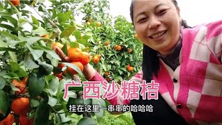 忙碌的生活很充实，早上六点起床，下午回家发货，一天又这样过了