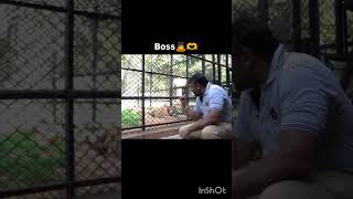 DBoss ❤#darshan #darshanforever #zoo #mysoreattractions #dboss #devil #animals #love #mysorezoo