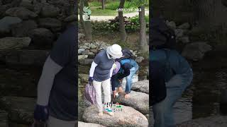 ☀️여름휴가 in 순천 ⑤순천만국가정원 개울길☀️