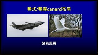 鴨式/鴨翼canard布局的起源與應用