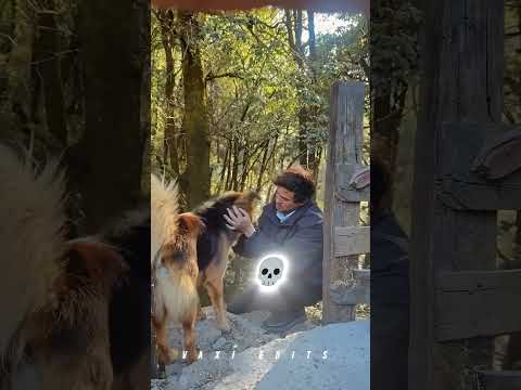 SAB THANK YOU BOLO POORI DOG COMMUNITY KO 💀🫵 #r2h #round2hell #shortvideos #shortsfeed #vaxiedits