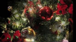 Christmas tree 2011