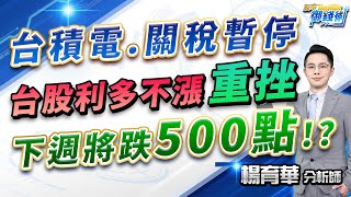 (有CC字幕)2025.03.07【台積電.關稅暫停 台股利多不漲重挫 下週將跌500點!?】#楊育華 #股市御錢術