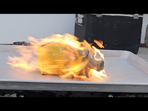 🔥 I TORCHED a Plastic Pig Squeak Toy… Unexpected Results! 😱