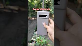 Google Pixel 6 Pro Camera Test🌺📸 [pixel6pro] #shortsvideo