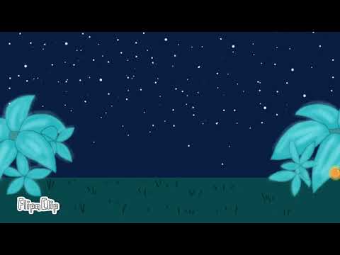 Ping Pong (FFA124)