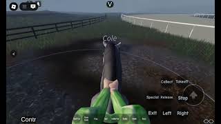 Here's the whole hack with me and my friend yall #roblox #equestrain #horse #lcs