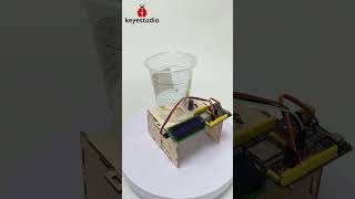 #shorts 🐞Using ESP32 for a real-time automatic pet feeder🐕🐈‍⬛#keyestudio #arduino #esp32 #kits #feed