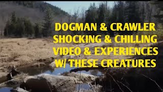 DOGMAN & CRAWLER SHOCKING & CHILLING VIDEO & EXPERIENCES W/ THESE CREATURES