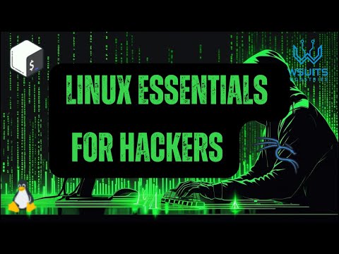 Final Recon for Hackers: Dig, Whois & Nmap Scans Like a Pro | WSuite Industries