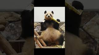 🍯ニコニコタケノコ良浜ママ🍯【再アップ】