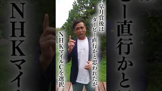 日本競馬の常識を変えた変則ローテのダービー馬。今日こそは酔おう。すべてを出し尽くした先には、きっと祝杯が待っている　#shorts #ウマ娘  #タニノギムレット