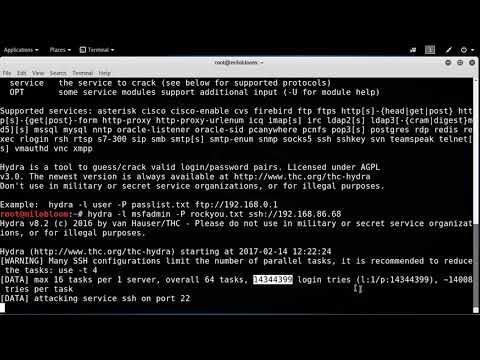 Using Hydra