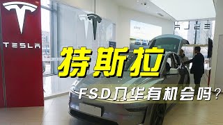 特斯拉FSD入华，能否在中国市场续写传奇？「央视财经评论」20250226 | 财经风云
