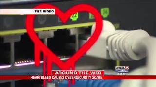 Heartbleed Causes Cybersecurity Scare