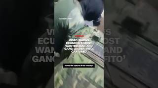 Video shows Ecuador’s most wanted man and gang leader ‘Fito’ captured