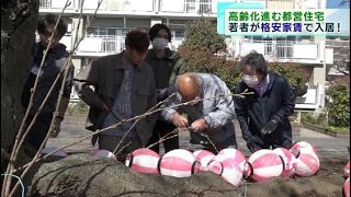超高齢化の都営住宅を格安家賃で学生へ