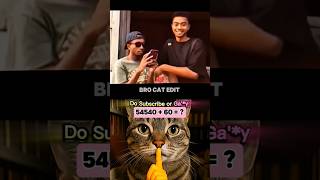 Bro's IQ 🤯 #funnycat #memes #shorts