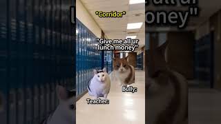 CAT MEMES 😺 When you have superpower... #catmemes #relatable