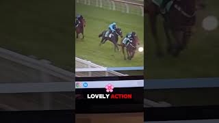 Bairnsdale Race 2 Preview #WeWinWhenYouWin #TWFingIt #freetips #racingtips #racingtipster