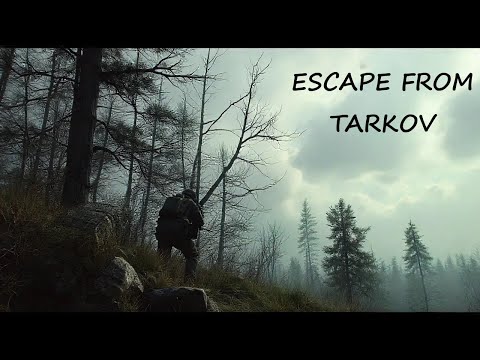 ESCAPE FROM TARKOV PVE ON PC IN 1440P   #shorts  #postivity #escapefromtarkov