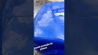 proteção de pintura e muito brilho 😀☺️