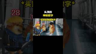 头顶的神秘数字#cheems #cheems小剧场 #搞笑 #funny #熱門