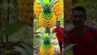 Survival Skills: grafting Pineapple Fruit Banana #fruit #survival #fruit #banana #Pineapple #shorts
