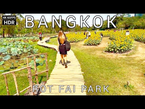 🇹🇭 Walking Tour in Rot Fai Park Bangkok | Best Nature Escape in the City!